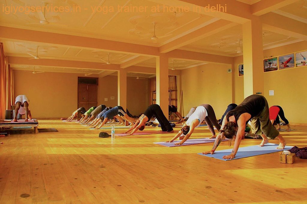 home-yoga-instructor-delhi
