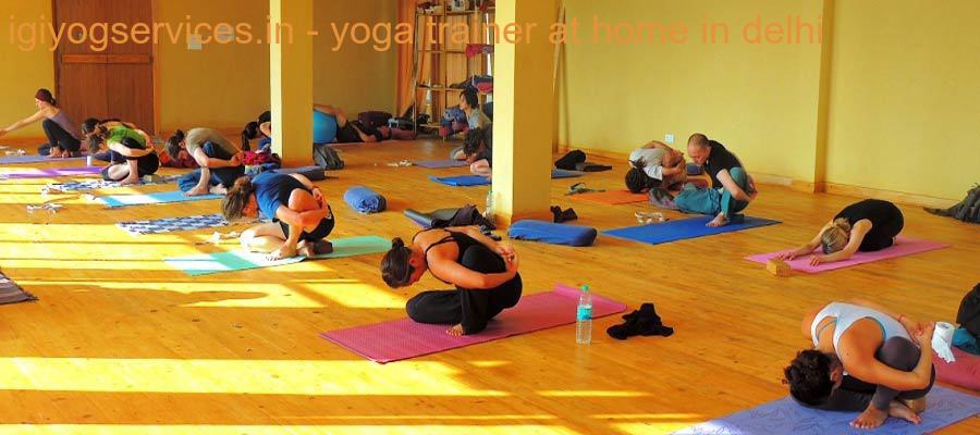 online-yoga-classes-delhi-india