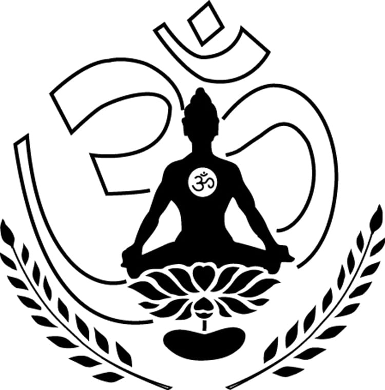 YOGA VIDYA GURUKUL logo